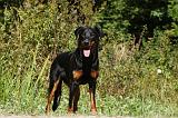 BEAUCERON 717